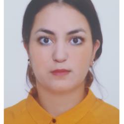 Sara Kerkour Elmiad